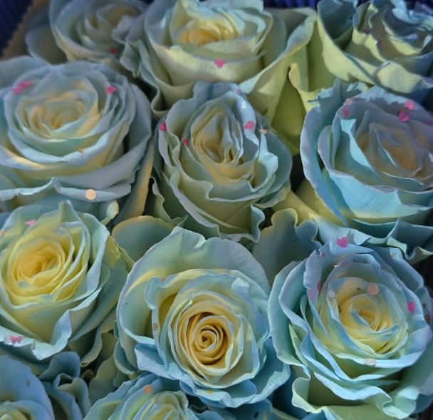 შეღებილი ვარდი