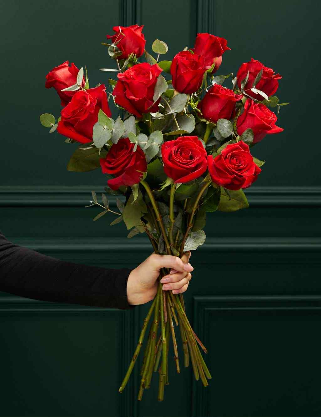 Dutch Red Rose I ჰოლანდიური წითელი ვარდი 10 ცალი