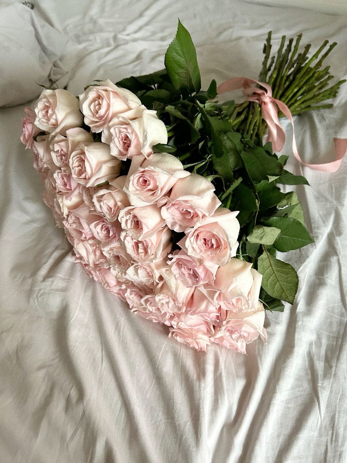 ატლასის ლენტი 